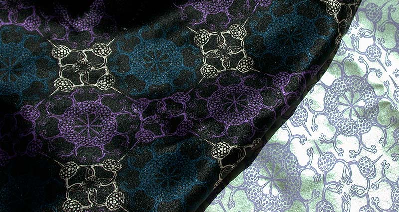 Kaeding_MainPlaceholder