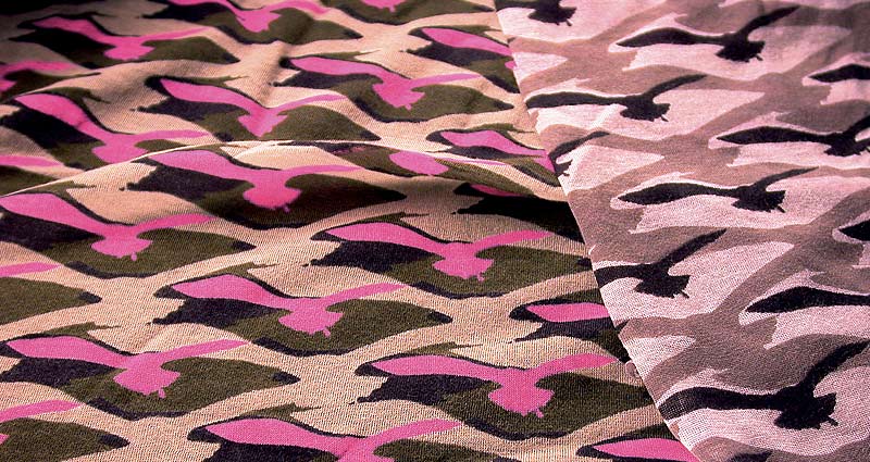 Kaeding_MainPlaceholder